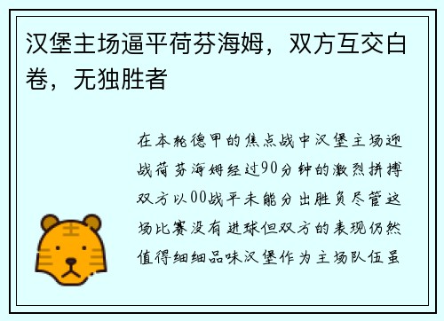 汉堡主场逼平荷芬海姆，双方互交白卷，无独胜者